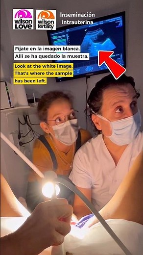 Así es como se hace una inseminación intrauterina paso a paso