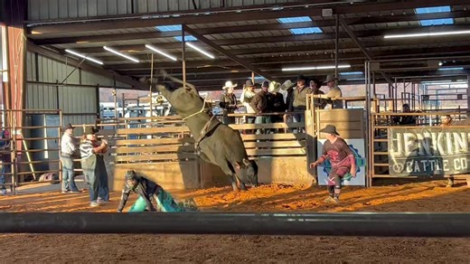 4.3K views · 166 reactions | Jenkins Cattle Co. of Porum, Oklahoma...