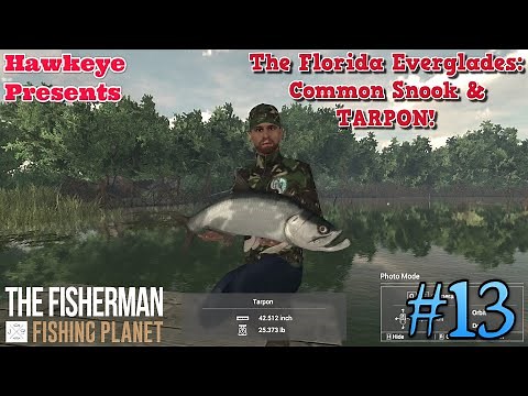 The Fisherman - Fishing Planet: The Florida Everglades - Common Snook & TARPON!