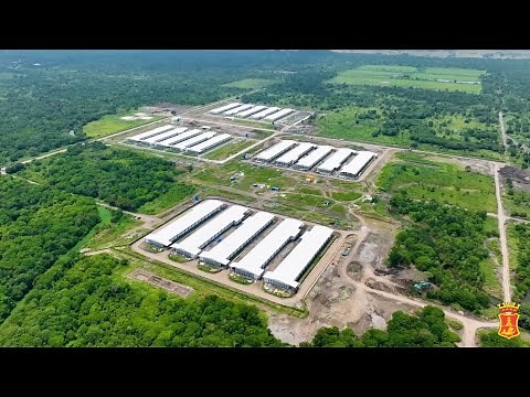 Inside SMC's mega poultry farm in Hagonoy, Davao del Sur