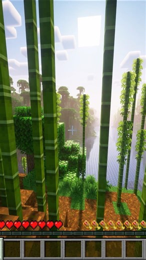 Minecraft mit und ohne Shader #minecraft #gaming #minecraftshaders #youtubeshorts #viral
