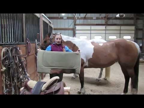 How to Tack up Western