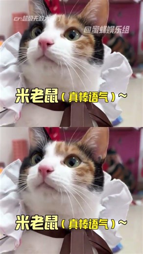 Hilarious Door Opening Fail! Can't Stop Laughing