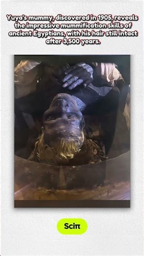 impressive mummification skills, his hair still intact after 3500 years 😳 #anicienthistory