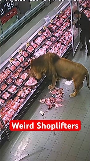 5 Weirdest Animals Caught Breaking Into Stores #shorts
