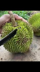炒菜教程老福特全文完结