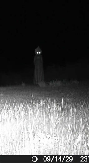 The FLATWOODS MONSTER Caught on Camera?! | Flatwoods Monster Footage from Trail Cam at Night
