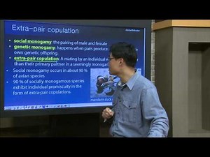 Animal Behavior - Lecture12. evolution of mating system