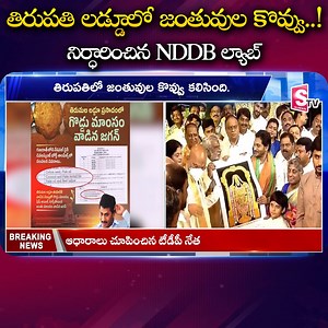 40K views · 420 reactions | Lab report finds presence of animal fat, fish oil in ghee used for Tirupati Prasadam laddoos #Tirupati #laddoo #prasadam #YSJagan #ChandrababuNaidu #LatestNews #SumanTV | Suman TV | Facebook