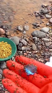 103K views · 2.1K reactions | Earth s Magnetic Gold Properties Why Is Gold Magnetized | Gold Quest 24 | Facebook