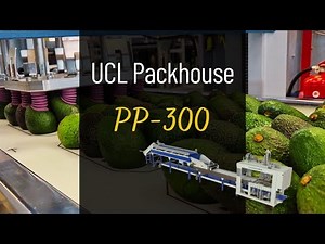 PP-300 Packing Line in Action | High-Speed Avocado Packing at UCL