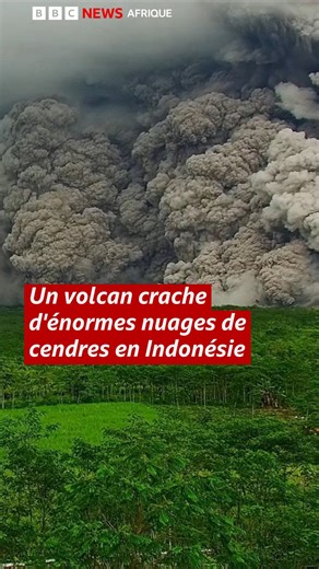 6K views · 84 reactions |   Le plus haut sommet de l'île indonésienne de Java, un volcan appelé le mont Semeru, est entré en éruption, crachant d'énormes colonnes de cendres pouvant atteindre 2 km (1,2 mile) au-dessus de son sommet. On peut voir d'énormes nuages de fumée envahir un pont et se répandre dans la campagne environnante, immobilisant les habitants. #indonesie #volcan | BBC News Afrique | Facebook
