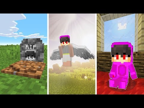 Best of BIRTH to DEATH in Minecraft