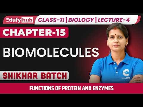 Biomolecules Lecture 4 🔬 | Functions of Proteins & Enzymes | Class 11 Zoology LIVE