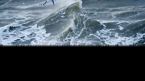 In Superstorm Sandy's Wake