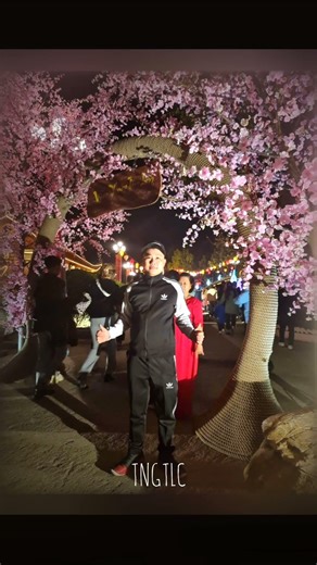 sigma camera 📸 🗿