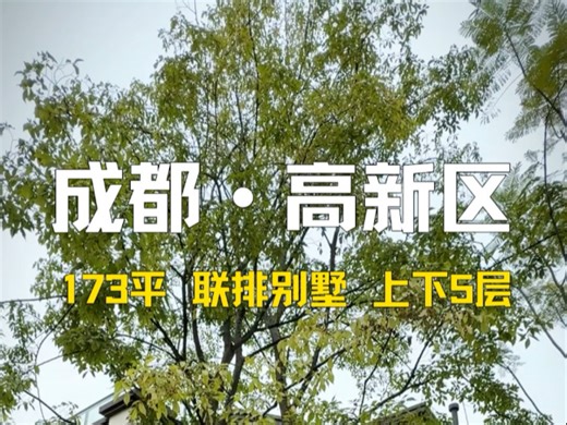 697万可以在成都买到什么的房子？#联排别墅 #成都高新区 #现房别墅 #合院别墅 #成都豪宅