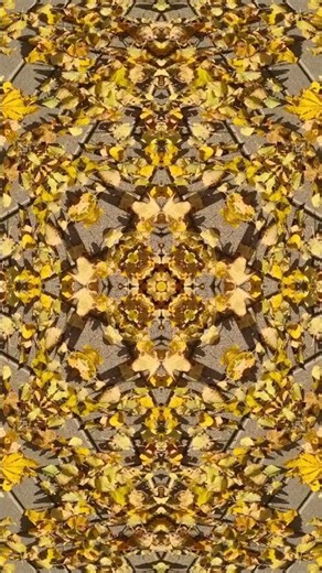 Autumn Kaleidoscope • Golden Leaf Mandala #shorts