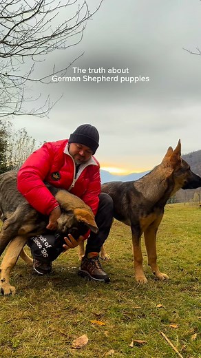 147K views · 289 reactions | I really didn’t expect this. We’ve lived...