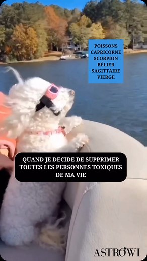 Vous vous reconnaissez ? 😅 Commente avec ton signe astro 👇Abonne-toi 💛« Dans le tirage de tarot, les cartes révèlent les messages de l’univers, mais c’est l’amour qui interprète leur signification dans le langage de l’âme. »#astrologie #astro #horoscope #belier #gemeaux #vierge #balance #sagittaire #capricorne #verseau #astro #memes #humour #reelfun #drole #signeastro #astromeme #meme #astrowi #tarot #reelsinsta #reelsvideo #videodujour #viral #tendance #matin #lundi | Astro Wi