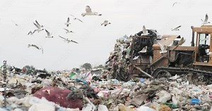 landfill. The contaminated land area is waste and garbage. green grass and garbage heaps. the problem of nature pollution. Open-air municipal landfill. Garbage discharge. ecological problems. Stock Video