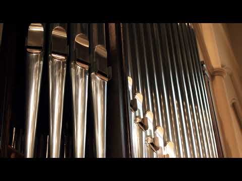 Second Sunday After Christmas - January 4, 2026