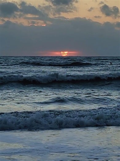 Huge windstorm by evening means magnificent shelling by morning here on Sanibel Florida. Have you looked for shells here?#florida #sanibel #shelling #windstorm