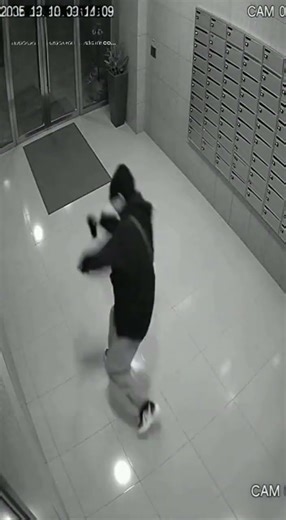 防犯カメラに映った“完璧すぎる転び方”がこちら。Security Camera Catches the Most Dramatic Fall Ever#funny #ai