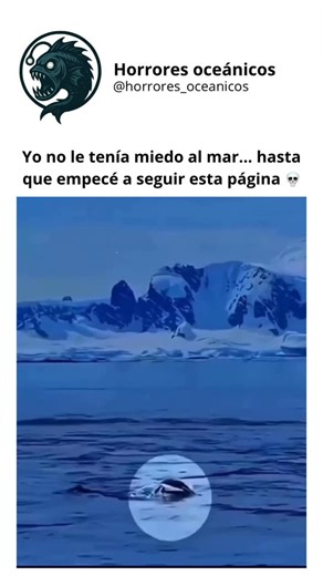 Oceanic Horrors on Instagram: "Le pidió ayuda a la criatura más peligrosa del planeta 😰 🐧💥 “Cuando te persiguen las orcas... y tu última esperanza es un humano. Qué jugada tan audaz, pequeño.” — Este pingüino no buscó en Google sus probabilidades. Simplemente saltó, confió y sobrevivió. A veces, el salto de fe más audaz te pone en las manos más seguras. 🛥️ 🧠 Lección de vida de un pingüino: ✅ Cuando la supervivencia está en juego, toma el riesgo ✅ Pide ayuda, incluso si parece imposible ✅ Nu
