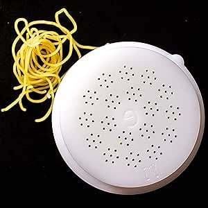 Amazon.com: PASTADISC - Pasta Shape Disc Fit For Philips Automatic Pasta & Noodle Maker, Philips Pasta Maker Attachment, Kitchen Appliance, Accessory Kit (Angle Hair - Vietnamese Vermicelli Noodles 1.1mm) : Home & Kitchen