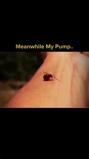 Mosquito vs Pre-workout Pump! 😂