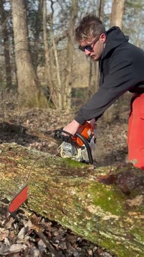 STIHL ms 311 20’ full chisel