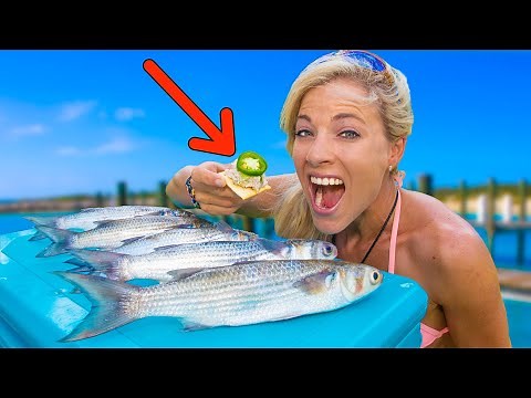MULLET (Catch Clean Cook) The Results will SHOCK YOU! Smoked Mullet HOW TO