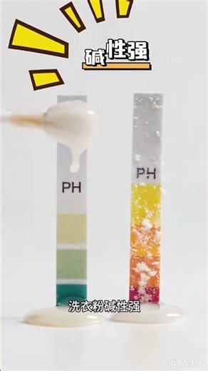 Liquid vs. Powder Detergent: The Ultimate Wash Battle