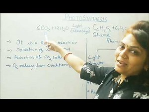 Photosynthesis reaction is a redox reaction | Mechanism of photosynthesis