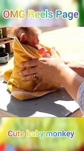 1.3K views · 33 reactions | Amazing cute baby monkey very happy after get up  #babymonkey #MonkeyLife #monkey #viral #viralreels #foryou #monkeys #Real #realestate #foryoupage #reelsfb #reelsviral #reel #fyp #Messi #FIFAWordCup2022 | OMG Video | Facebook
