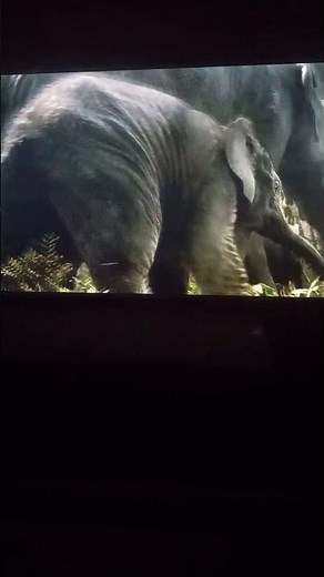 The Jungle Book 2016 Elephants scene🐘