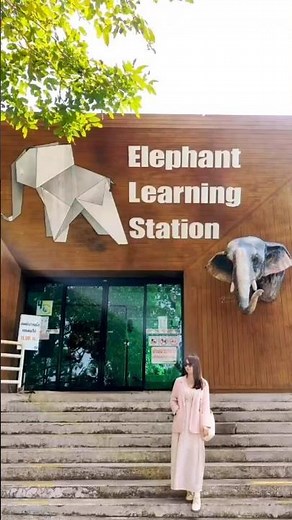 #綠山動物園(4)#大象游泳#pattaya#thailand