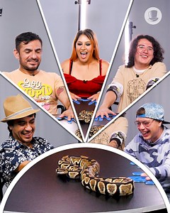 1.6M views · 65K reactions | Tienes prohibido quitar las manos de la mesa | La Guía Del Varón | Facebook