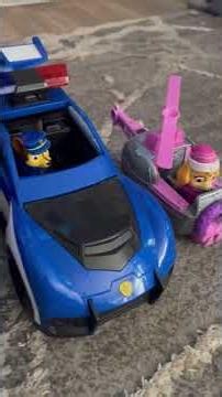 Everest's snow plow adventure