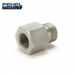 [Hot Item] Bsp Thread 60 Cone Fittings Double Use Hose Adaptor