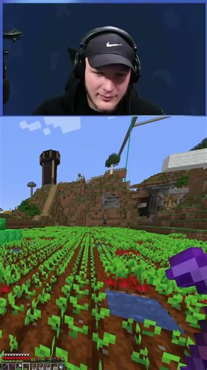 Anti-beeters lose a ball 🤣🤣 #minecraft #dreamsmp #awesamdude