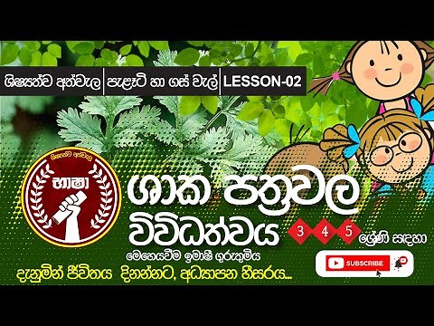 ශාක පත‍්‍රවල විවිධත්වය / Shaka Pathrawala Vividathwaya / මෙහෙයවීම ඉමාෂි ගුරුතුමිය.Lesson 02
