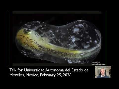 Xenobots, polycomputers, and the future of AI.