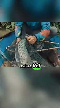 Solo fisherman catching fish in the Amazon rainforest