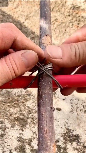 Simple Wire Tying on Twigs and Stems