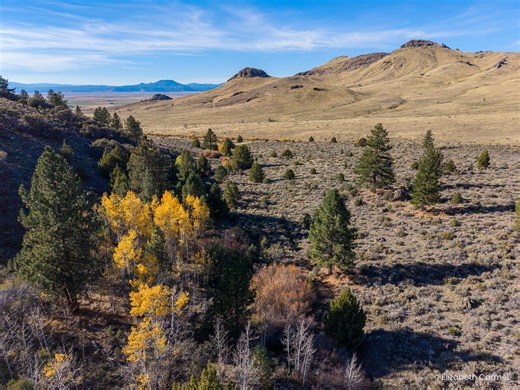 The Washoe Tribe of Nevada and California secures ancestral land with plans of restoration and preservation