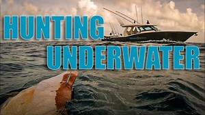 Spearfishing Hogfish for the Perfect Dinner