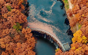 【山秋】你心中的秋天是什么样子|2021即将结束的秋天