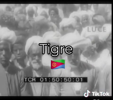 😍🇪🇷Tigre #tigreeritrea #تقرايت❤️🇪🇷❤️🇪🇷 #tigrinyamusic #تقرايت_tigrayt_ትግራይት🇪🇷 #habeshatiktok #تقرايت❤️🇪🇷❤️🇸🇩